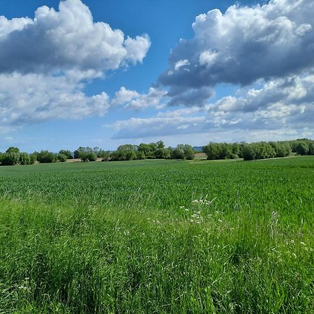 Pension Landidylle Wohlenhagen Kültér fotó
