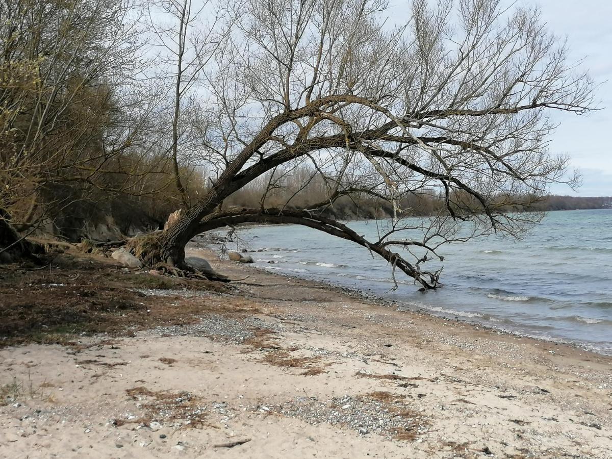 Pension Landidylle Wohlenhagen Kültér fotó